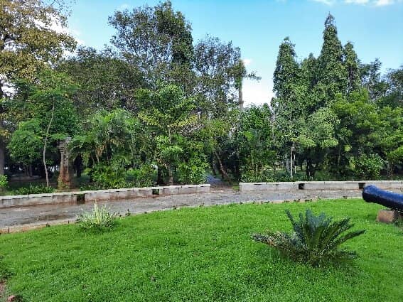 Sunday Hot Wheels Meet-up