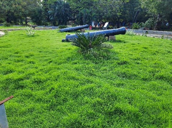 Children's Play Area