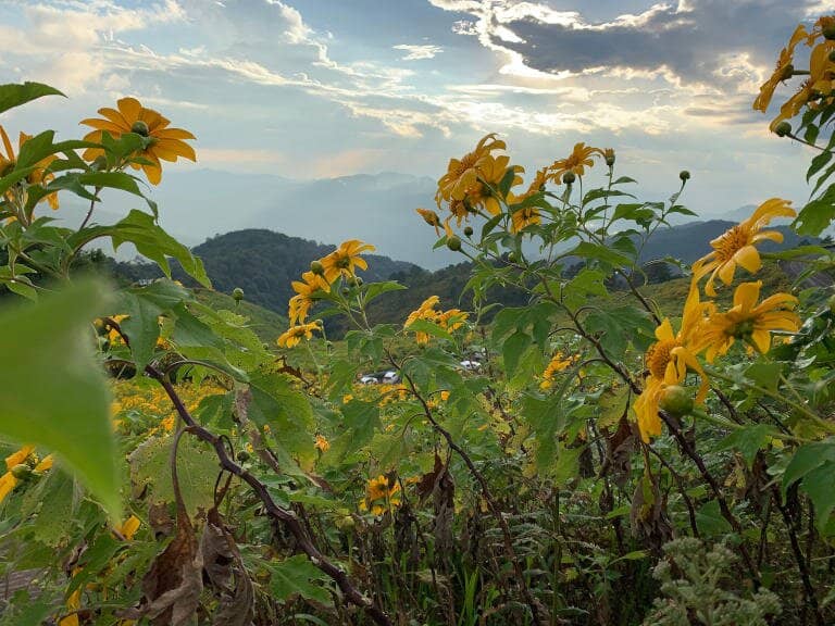 Panoramic Mountain Views