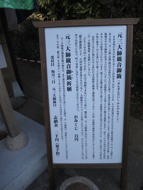 Serene Forest Setting