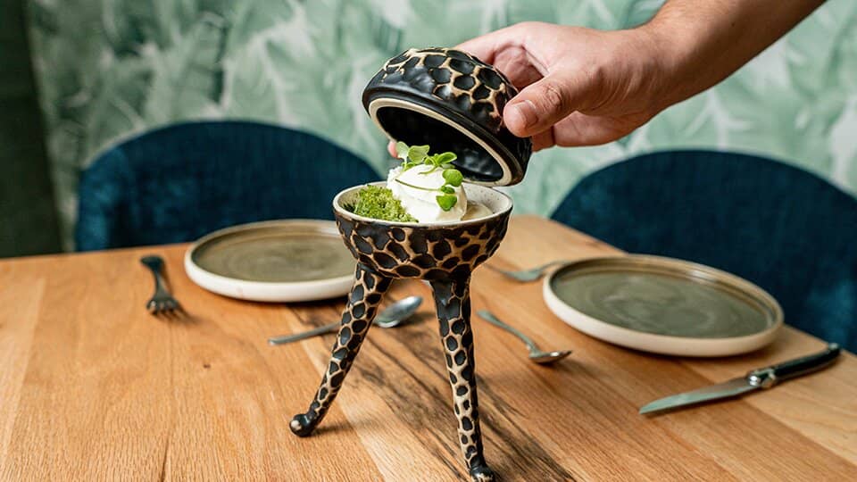 Modern & Cozy Ambiance