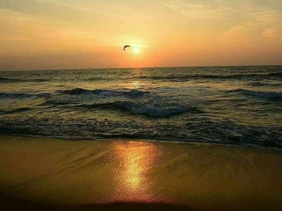 Calm and Clean Shores