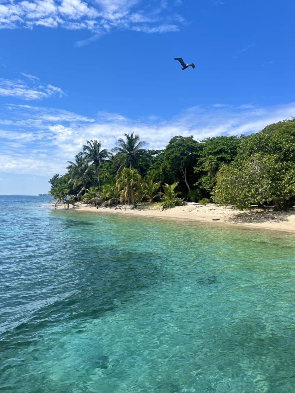 Snorkeling from Shore