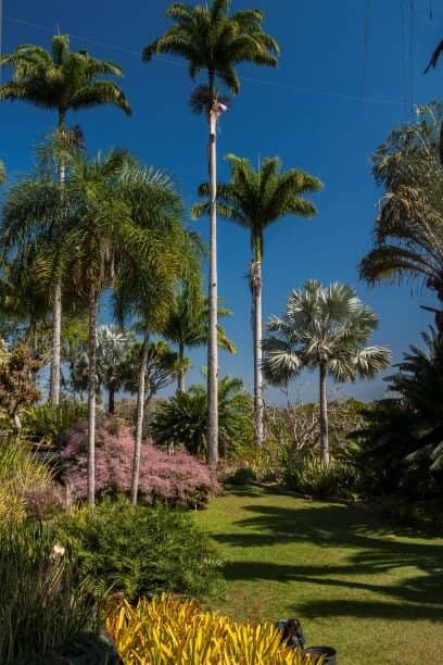 Architectural Fusion