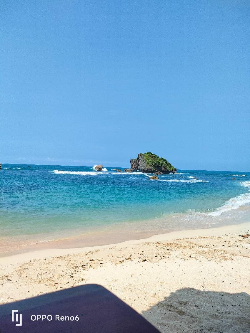 Seashell & Coral Treasures