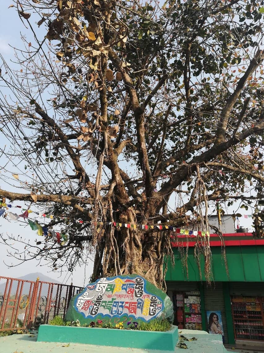 Tibetan Refugee Camp Support