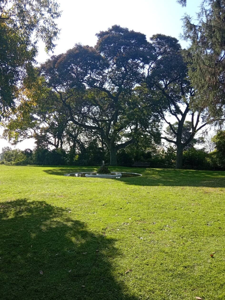 Pueyrredón's Art Collection