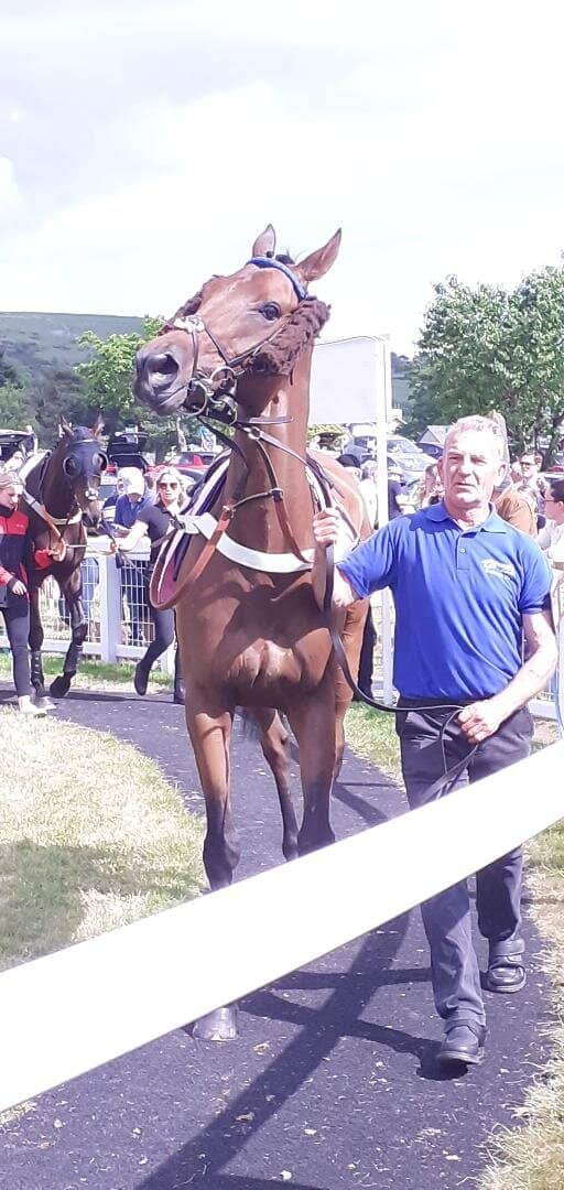 Thrilling Horse Racing