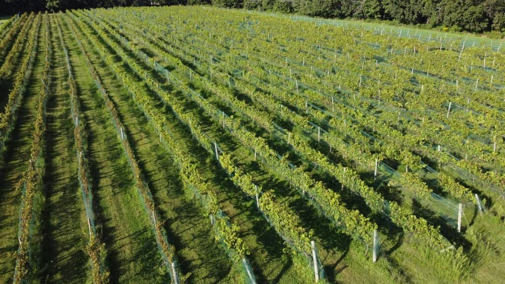 Cozy Indoor Ambiance