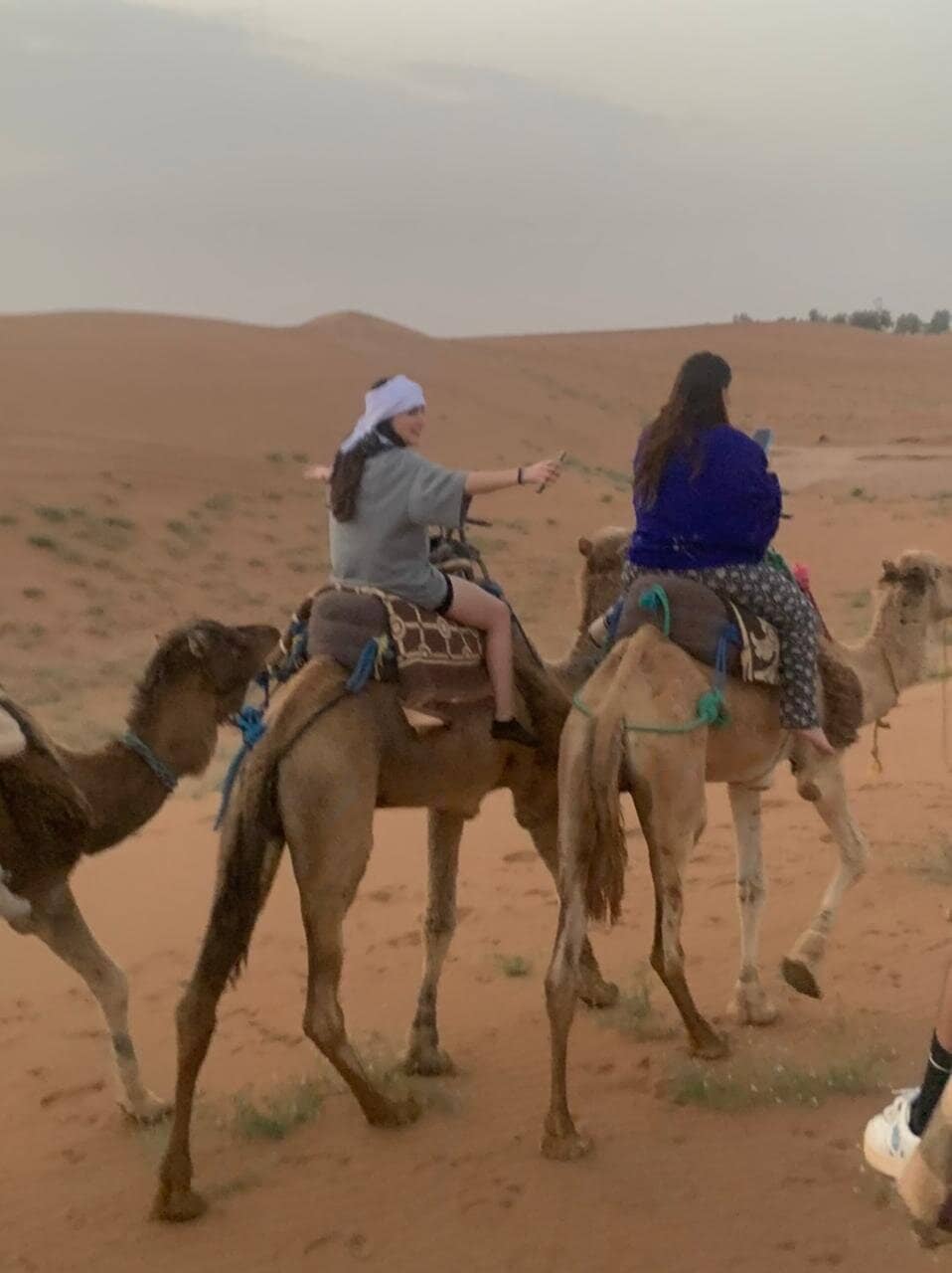 Camel Trekking