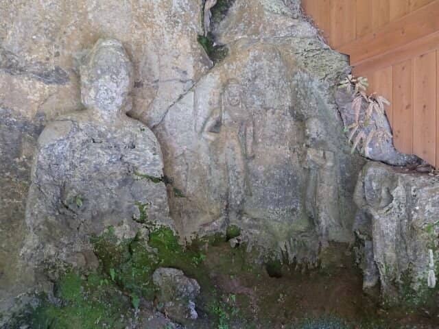 Serene Bamboo Forest Walk