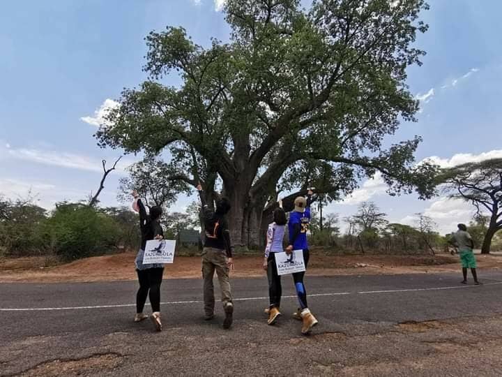 Wildlife Spotting Opportunities