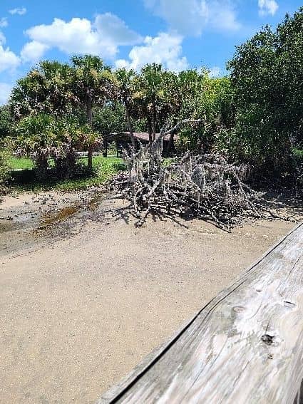 Intracoastal Waterway Views