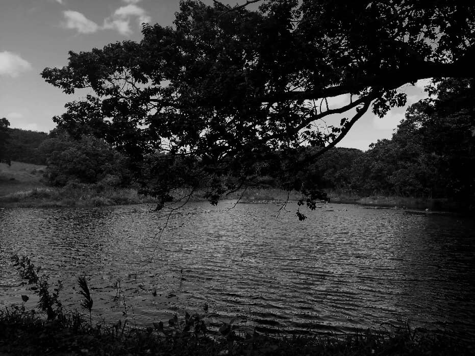 Diverse Walking Trails