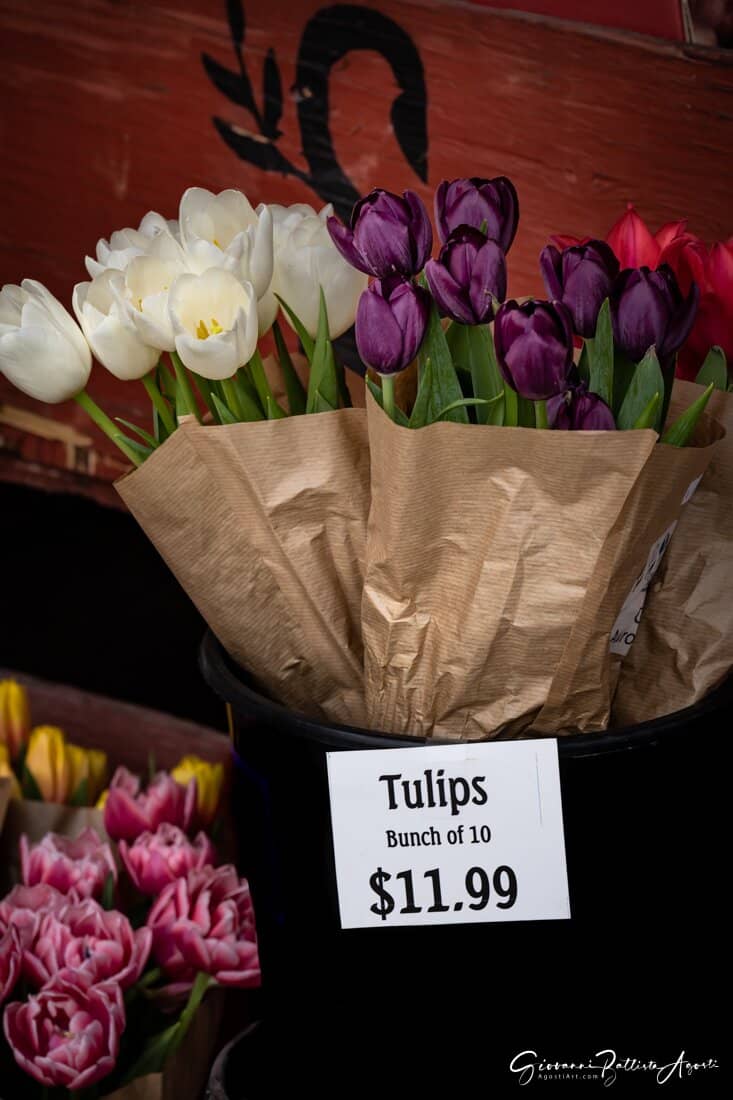 Artisan and Local Goods