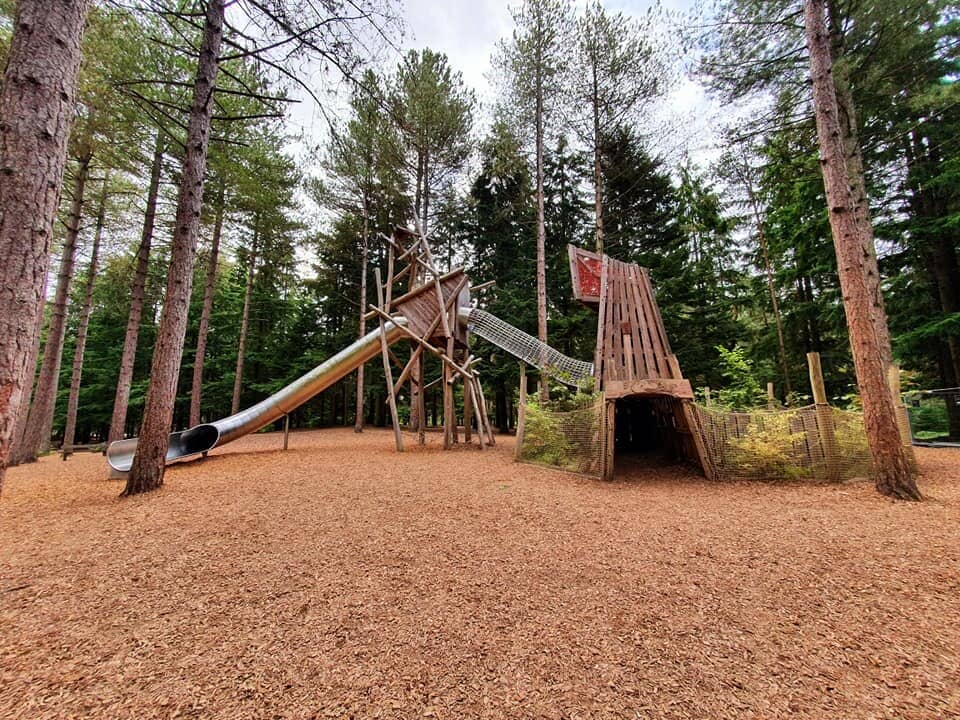 Treetop Walkway