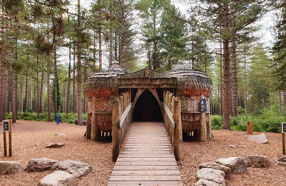 Play Trail