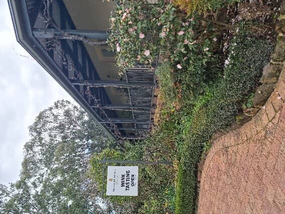 Iconic Shiraz Selection