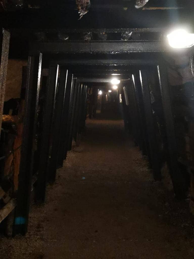 Mineralogical Exhibition