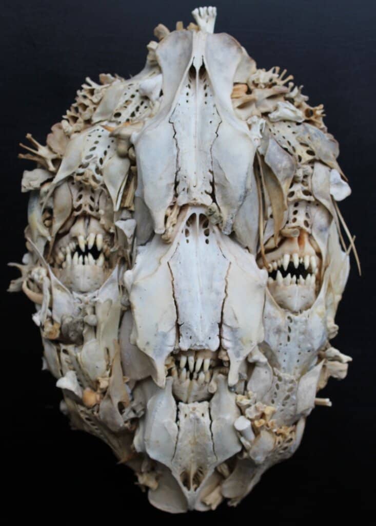 Bone Sculptures