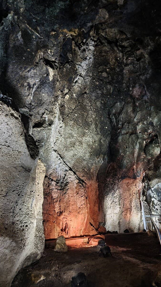 Prehistoric Life Exhibition