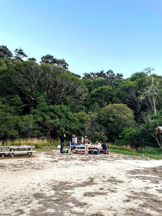 Picnic and Play Areas