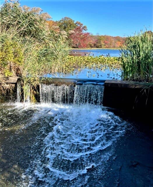 Playground & Picnic Areas