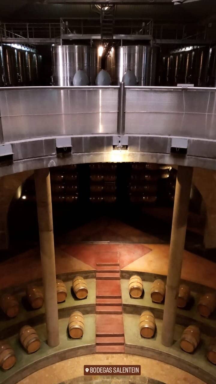 Art Gallery Exploration