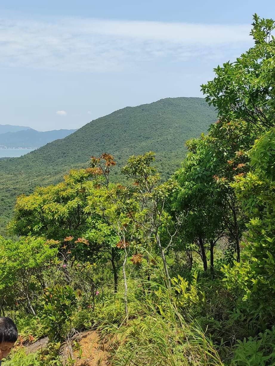 Challenging Beach Head Route