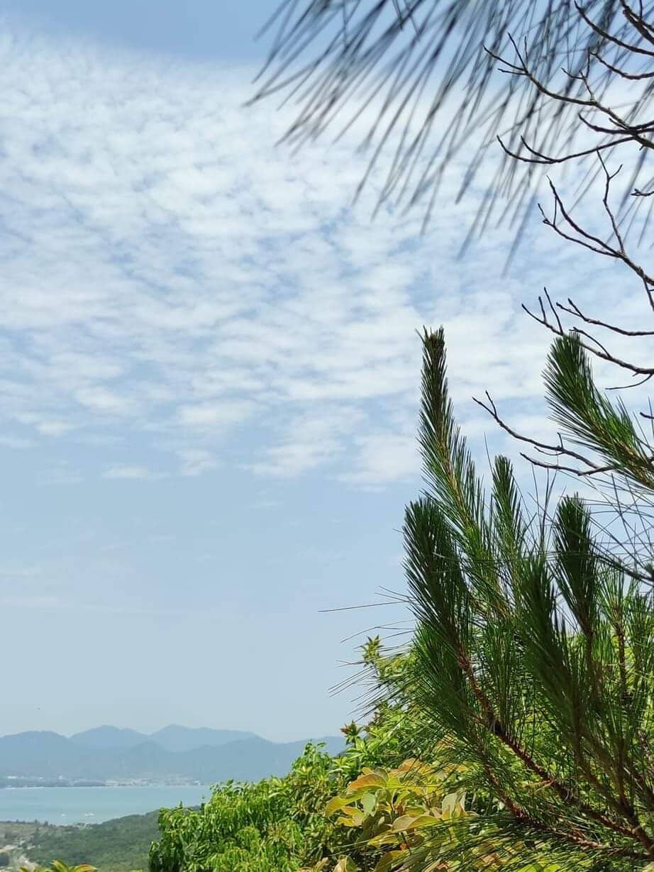 Natural Hiking Trails