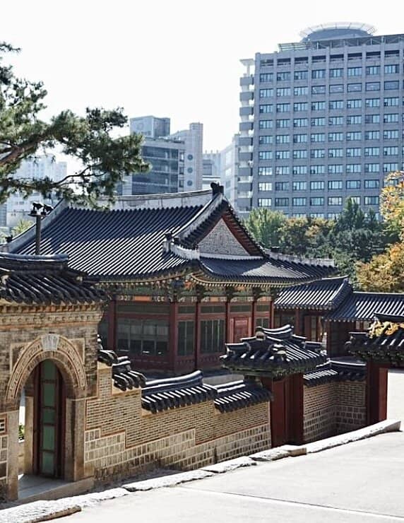 Peaceful Urban Escape