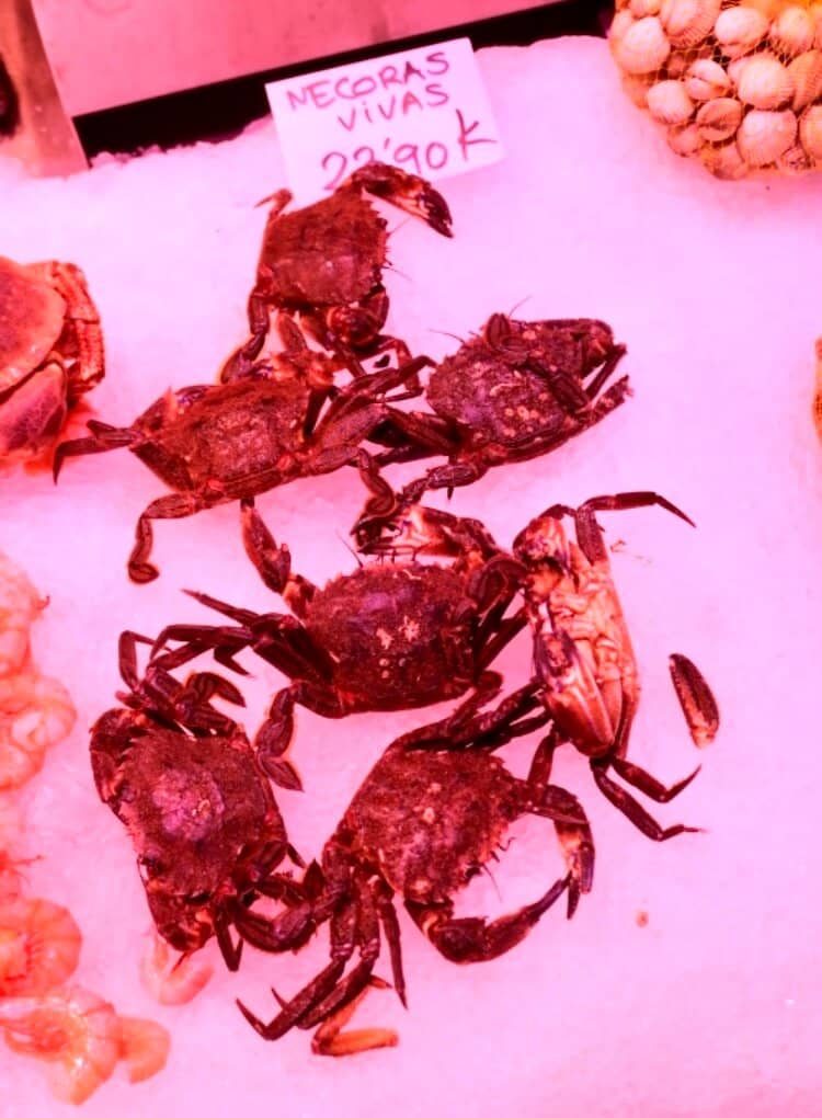 Vintage Toy Treasures