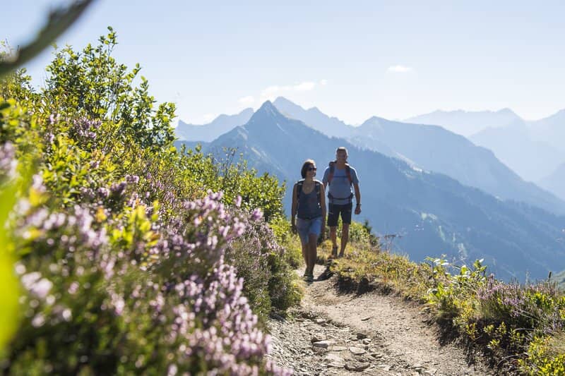 Hike to Panoramic Viewpoints