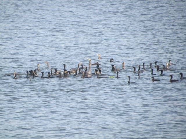 Sunset Views & Tranquility