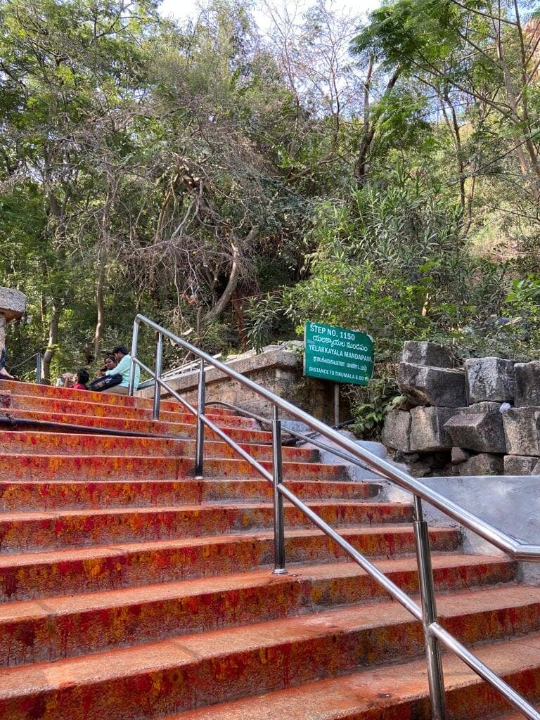 Covered Steps for a Comfortable Climb