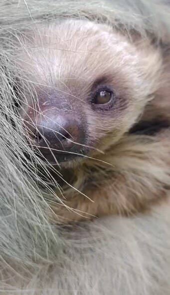 Accommodating & Safe Guides