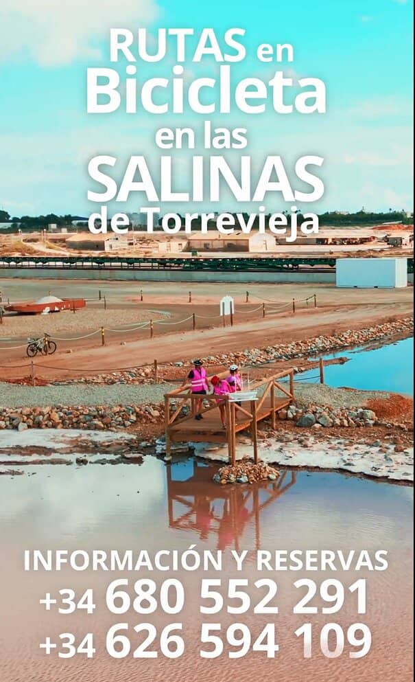 Scenic Walking Trails