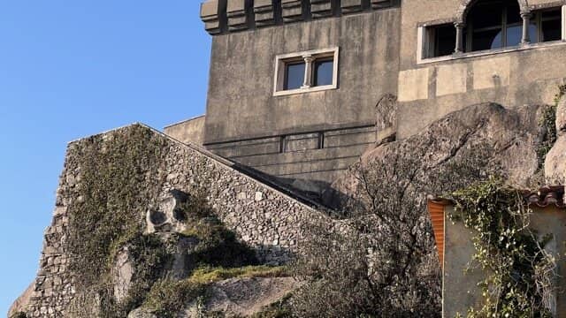 Mystical Foggy Atmosphere