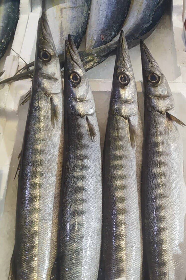 Porta Marina Staircase