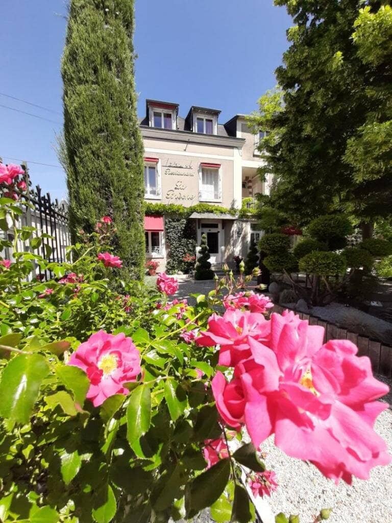 Impeccable Service & Ambiance