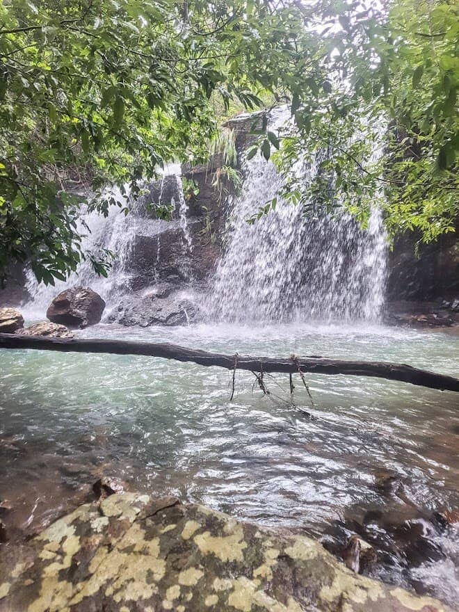 Wooden Staircase Trail