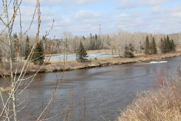 Scenic Walking Trails
