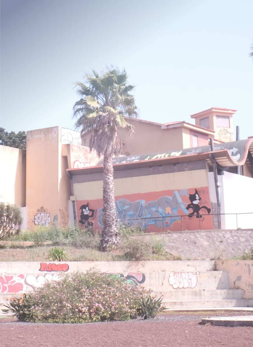 Vertical photo