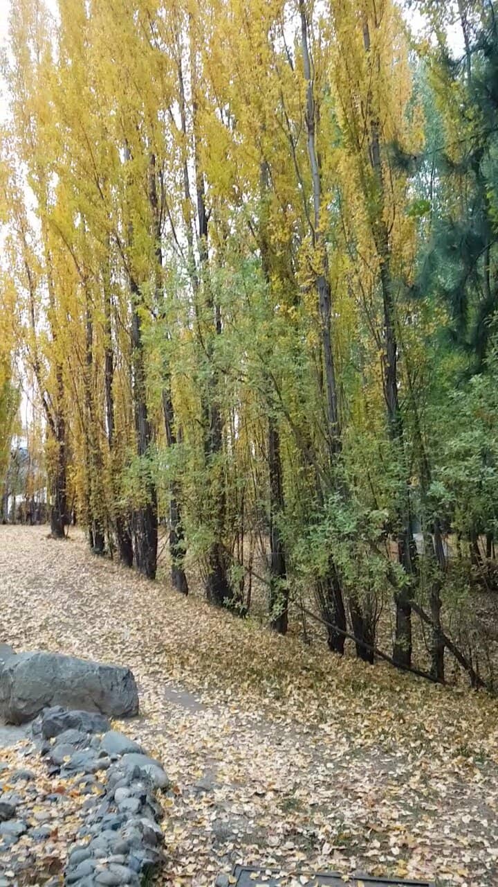 Fiesta Nacional del Lago Argentino