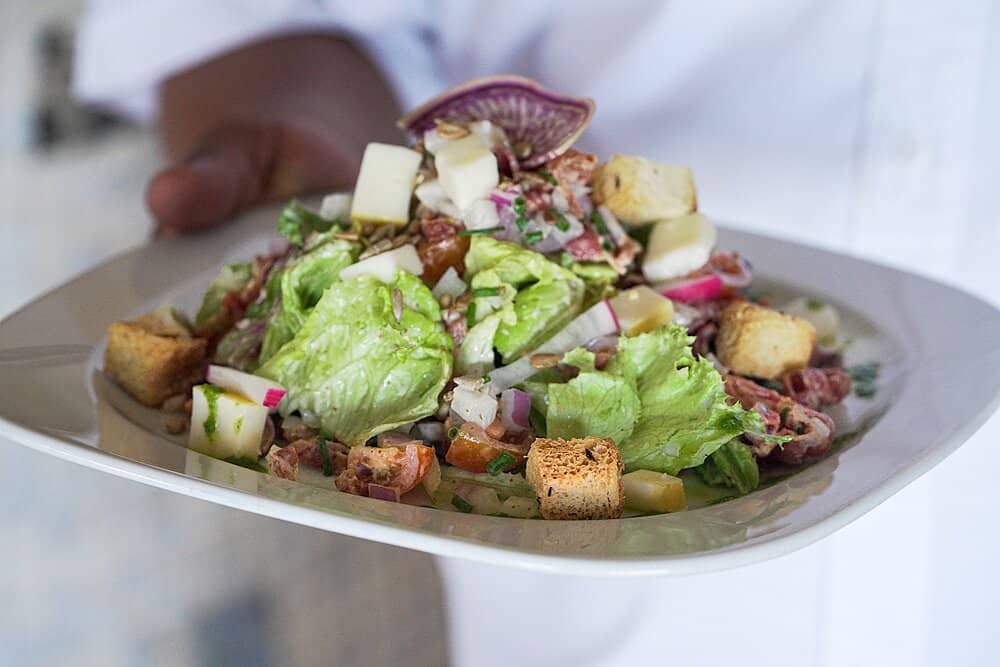 Pet-Friendly Ambiance