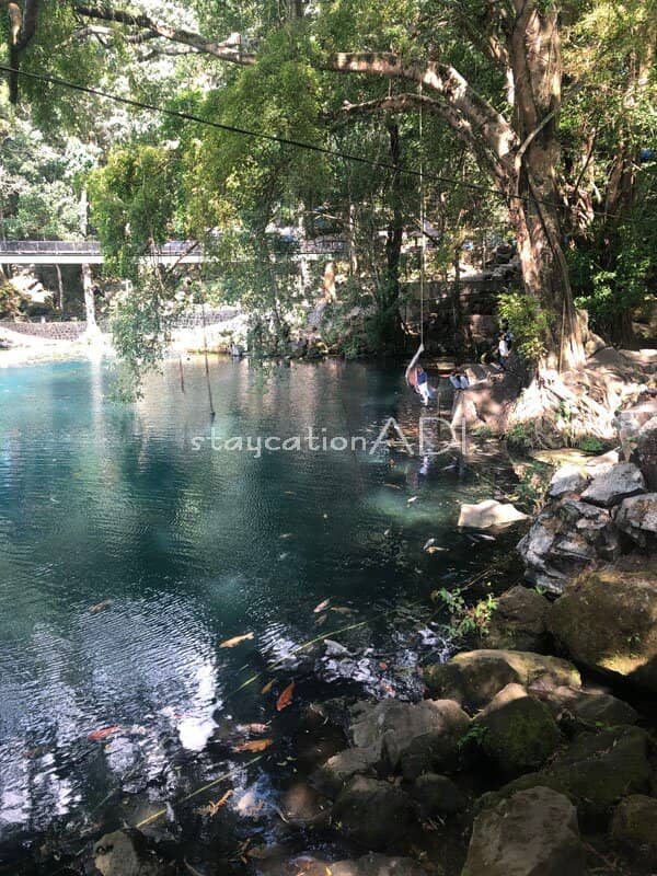 Karst Hill Landscape