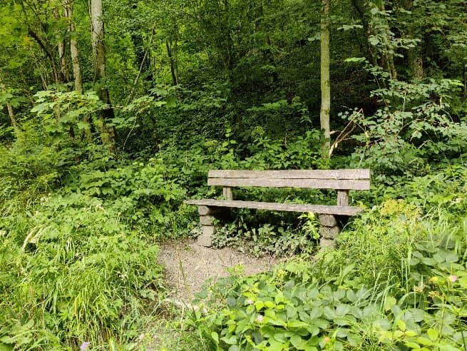 Scenic Walking Trails