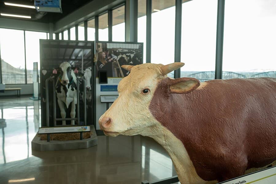 Electricity Exploration