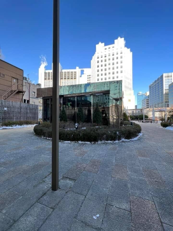 Seasonal Light Shows