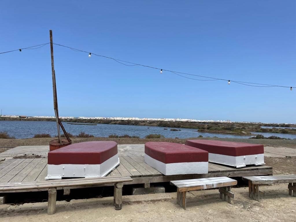 Salt Flats Exploration